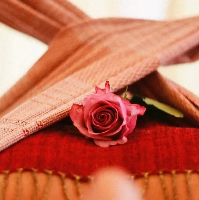 Rosa cor-de-rosa sobre tecidos em tons de rosa e vermelho.